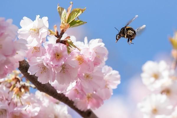 国寿学生儿童意外伤害保险一年多少钱，怎么样