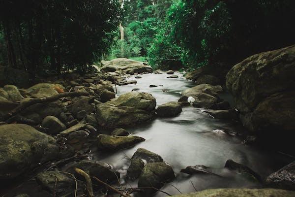 元保保险怎么样算投保成功，