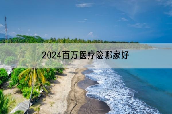 2024百万医疗险哪家好？价格实惠的有哪些？