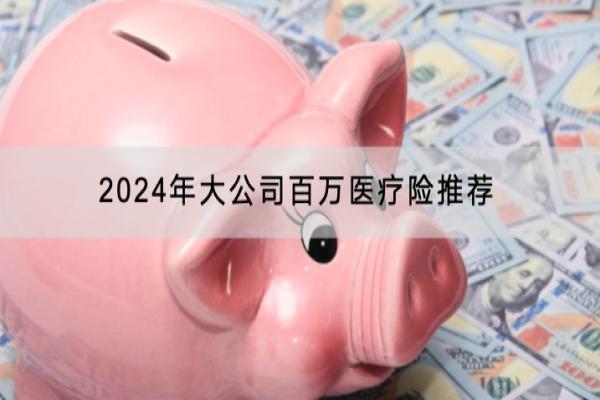 2024年大公司百万医疗险推荐