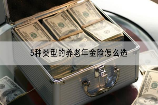 5种类型的养老年金险怎么选？哪款好？