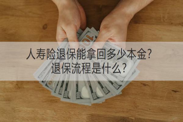 人寿险退保能拿回多少本金？退保流程是什么？